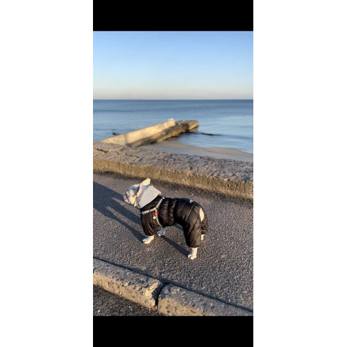 Комбинезон для собак AiryVest ONE чёрного цвета