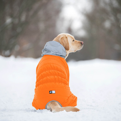 Комбинезон для собак AiryVest ONE оранжевого цвета