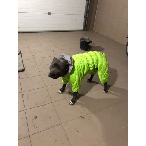 Комбинезон для собак AiryVest ONE салатового цвета