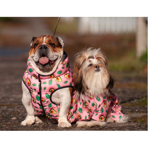 Курточка для собак WAUDOG Clothes с рисунком "Авокадо на розовом"