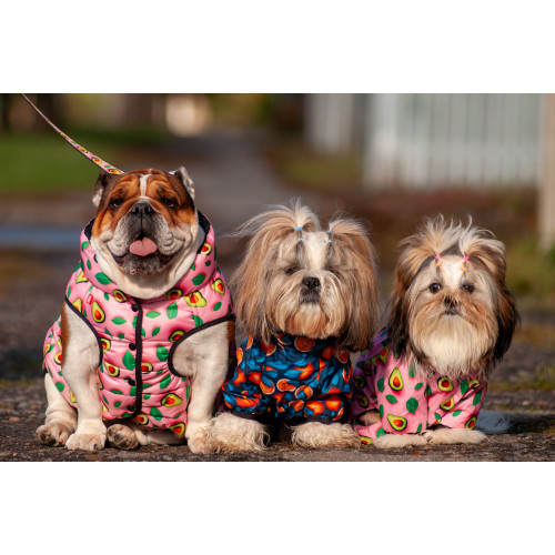 Курточка для собак WAUDOG Clothes с рисунком "Авокадо на розовом"