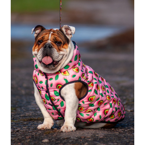 Курточка для собак WAUDOG Clothes с рисунком "Авокадо на розовом"