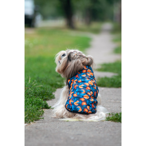 Курточка для собак WAUDOG Clothes с рисунком "Апельсины"