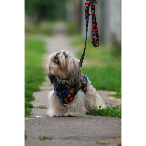 Курточка для собак WAUDOG Clothes с рисунком "Апельсины"