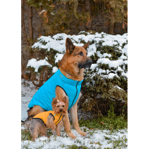 Ультралёгкая двусторонняя куртка-жилет для собак AiryVest "Colors of Freedom" жёлто-голубая