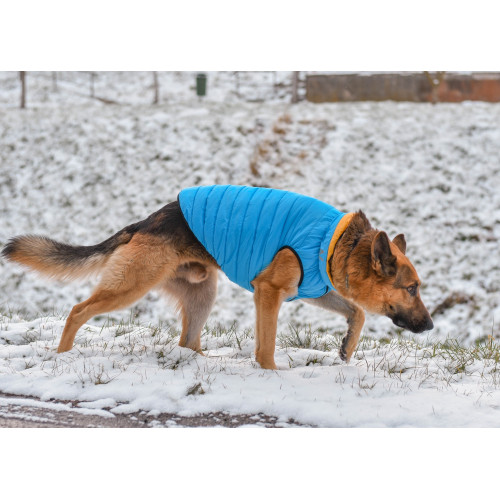 Ультралёгкая двусторонняя куртка-жилет для собак AiryVest "Colors of Freedom" жёлто-голубая