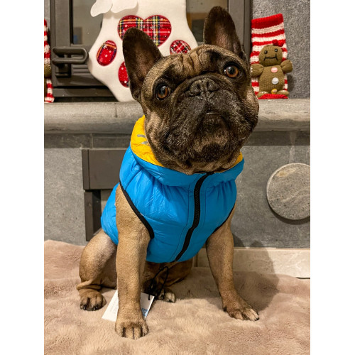 Ультралёгкая двусторонняя куртка-жилет для собак AiryVest "Colors of Freedom" жёлто-голубая