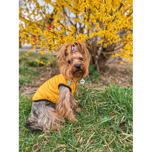 Ультралёгкая двусторонняя куртка-жилет для собак AiryVest "Colors of Freedom" жёлто-голубая