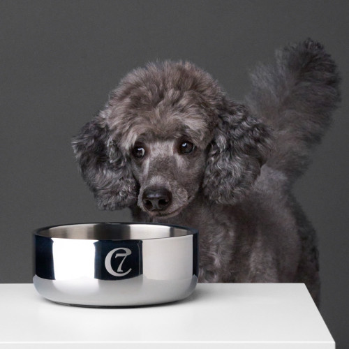 Миска для собак Cloud7 Dylan, серая