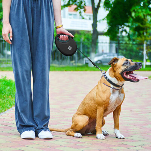 Повідець-рулетка WAUDOG R-leash з контейнером, чорний