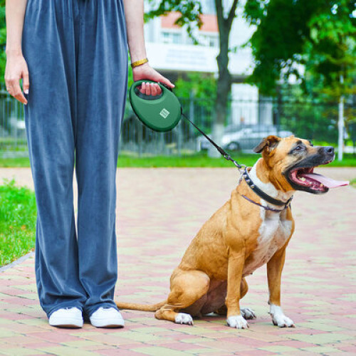 Поводок-рулетка WAUDOG R-leash с контейнером, зелёный