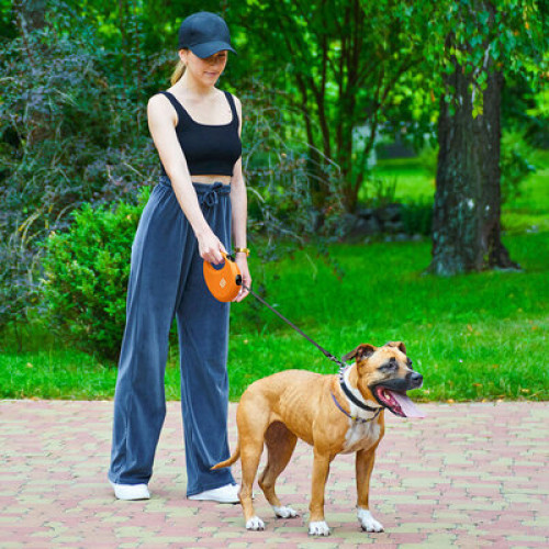 Поводок-рулетка для собак WAUDOG R-leash с контейнером, оранжевый