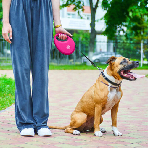 Поводок-рулетка WAUDOG R-leash с контейнером, розовый
