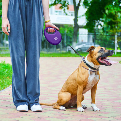 Поводок-рулетка WAUDOG R-leash с контейнером, фиолетовый