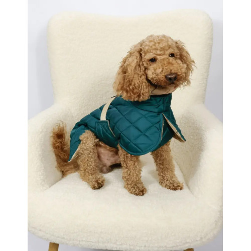 Жилет для собак стьобаний двосторонній смарагд G-112