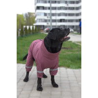 Дощовик для великих собак сливового кольору MB-11