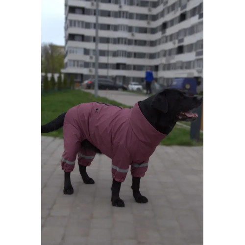 Дощовик для великих собак сливового кольору MB-11