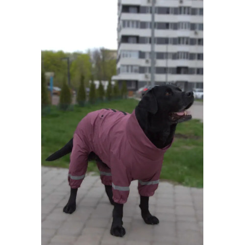 Дощовик для великих собак сливового кольору MB-11