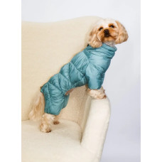 Зимний комбинезон для собак Comfort мятного цвета R-64