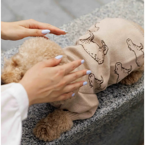 Свитер вязаный для собак «Капибары» бежевый Y-332