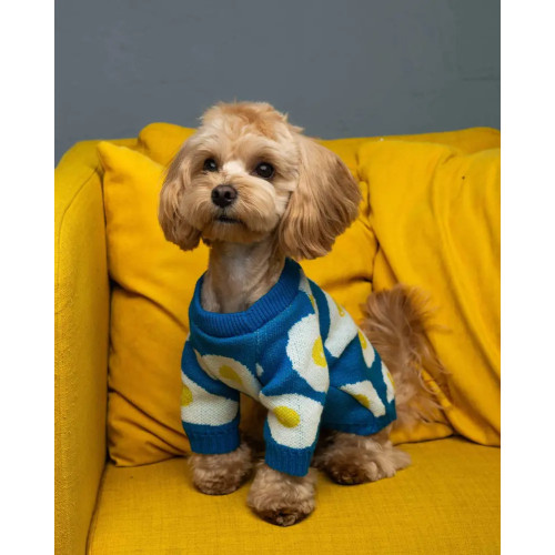 Вязаный свитер для собак синего цвета "Яичница" Y-347