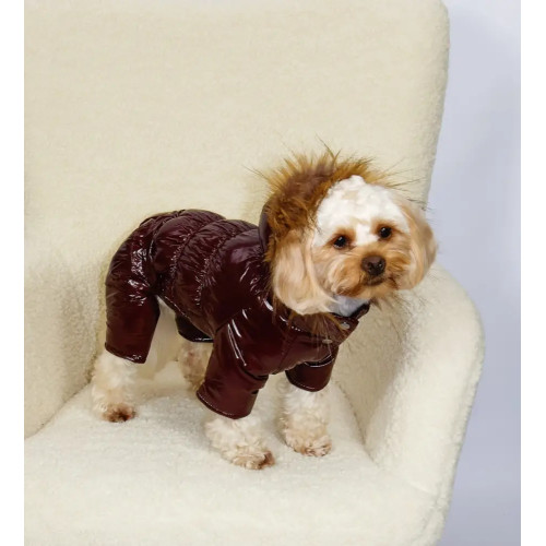 Зимовий комбінезон для собак лакований марсала A-85