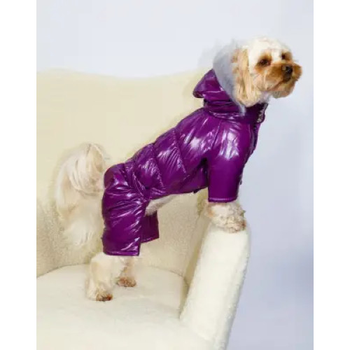 Зимовий комбінезон для собак лакований пурпурний A-86