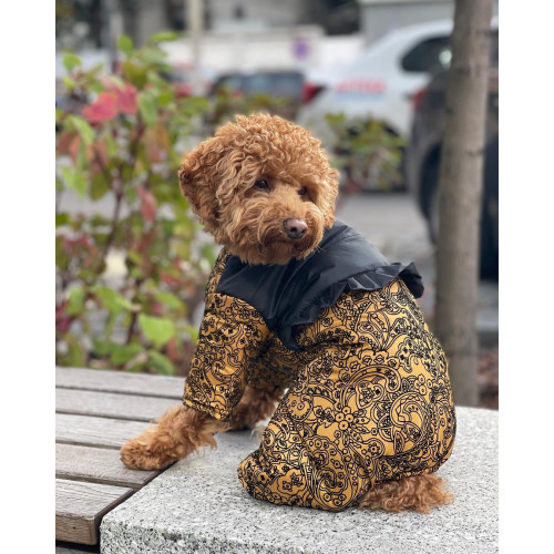 Зимний комбинезон для собак-девочек рюша с узорами горчица AD-16