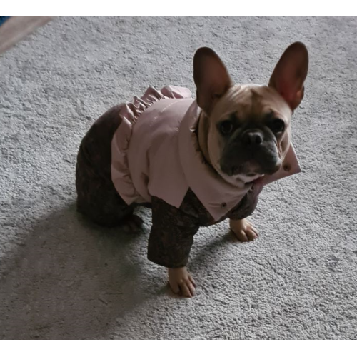 Зимний комбинезон для собак-девочек с рюшками и узорами AD-22