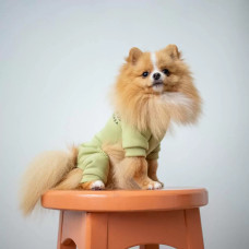 Костюм на змейке оливкового цвета D-123