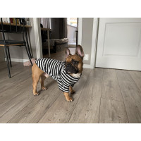 Тельняшка для собак Dogs Bomba F-33 черно-белая