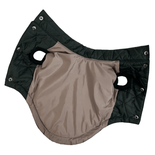 Жилет для собак "Dogs Bomba" изумрудного цвета G-100