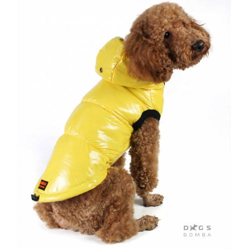 Жилет для собак лакированный жёлтого цвета G-43 (осень-зима)