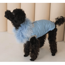 Жилет для собак Glem голубой G-89