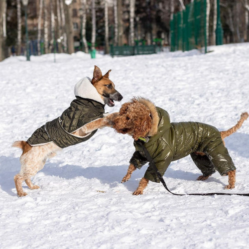Жилет для собак Dogs Bomba GL-4 Хаки на липучке