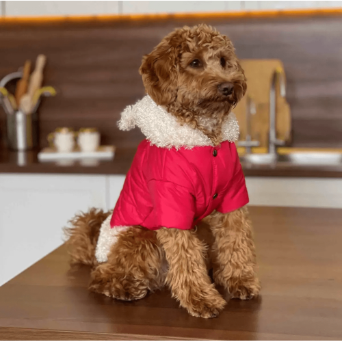 Куртка для собак Dogs Bomba K-65 Красная с мехом