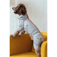 Дощовик для собак «Кант» сірого кольору M-102