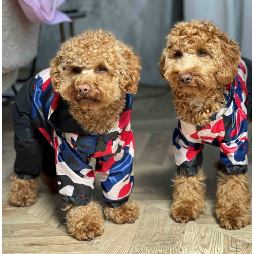 Дощовик для собак Dogs Bomba M-63 Мілітарі синій