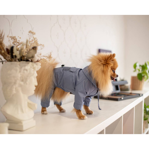 Дощовик для собак Dogs Bomba M-66 блакитного кольору з капюшоном