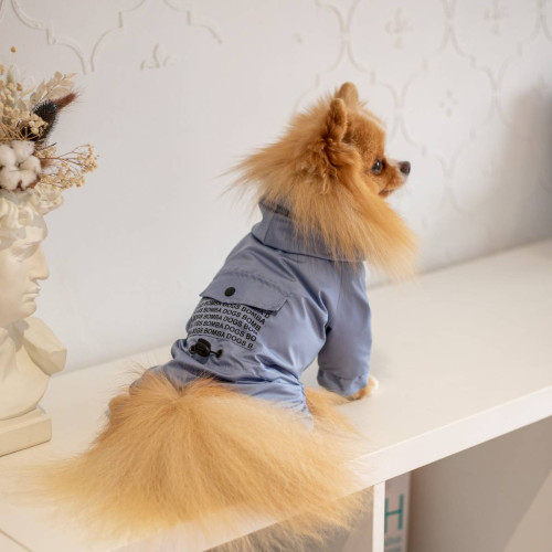 Дощовик для собак Dogs Bomba M-66 блакитного кольору з капюшоном