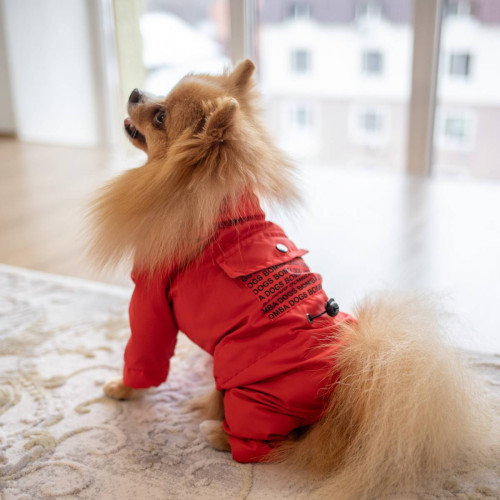 Водоотталкивающий дождевик для собаки M-67 красного цвета