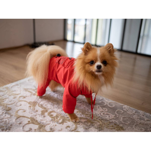 Водоотталкивающий дождевик для собаки M-67 красного цвета