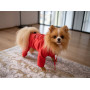Водоотталкивающий дождевик для собаки M-67 красного цвета