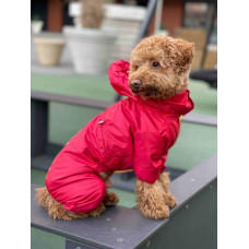 Дощовик для собак із прихованим капюшоном червоного кольору M-79