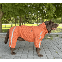 Дощовик для собак Dogs Bomba Спорт MF-31 Помаранчевий на флісі