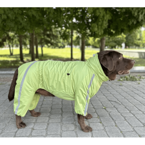 Дощовик для собак Dogs Bomba MF-32 Салатовий на флісі