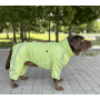 Дощовик для собак Dogs Bomba MF-32 Салатовий на флісі