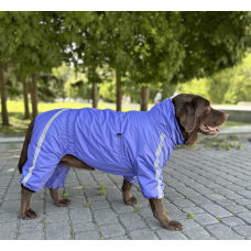 Дощовик для собак Dogs Bomba "Спорт" MF-35 фіолетовий на флісі