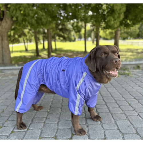 Дощовик для собак Dogs Bomba "Спорт" MF-35 фіолетовий на флісі