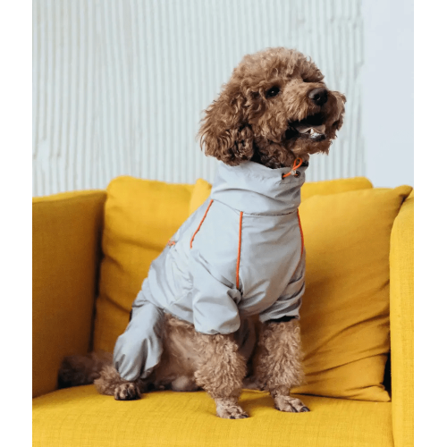 Дождевик для собак Dogs Bomba MT-30 серый для такс